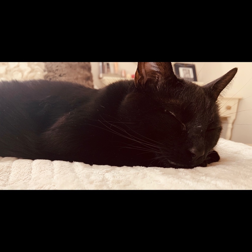 Meet your Posher, Katelyn